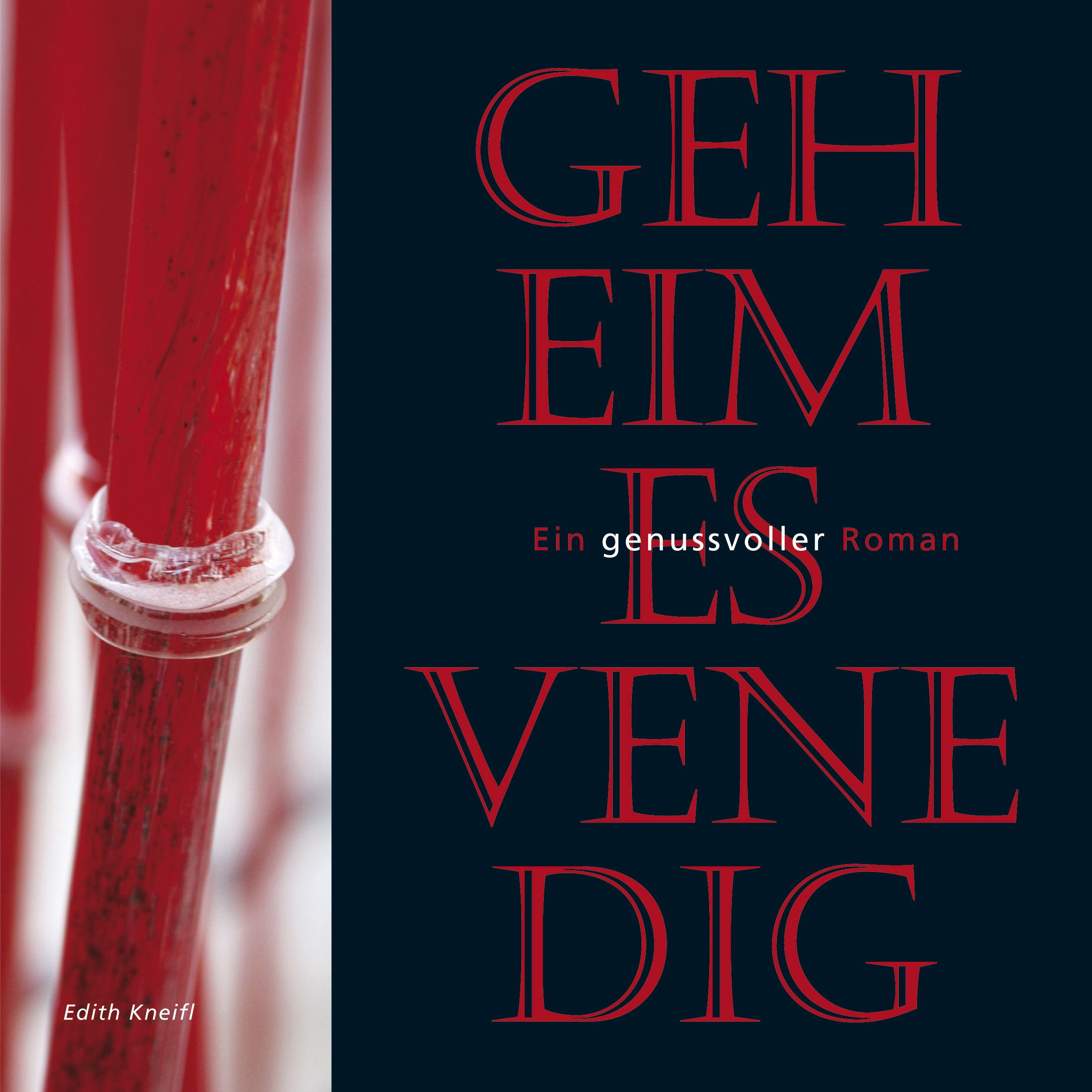 kneifl-geheimesvenedig.jpg